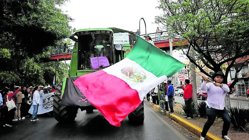 Zacatecas apoya a productores de frijol